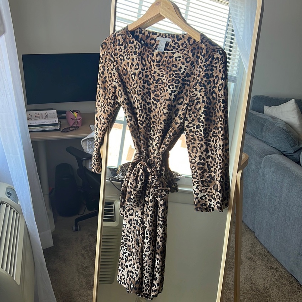 Leopard H&am Dress